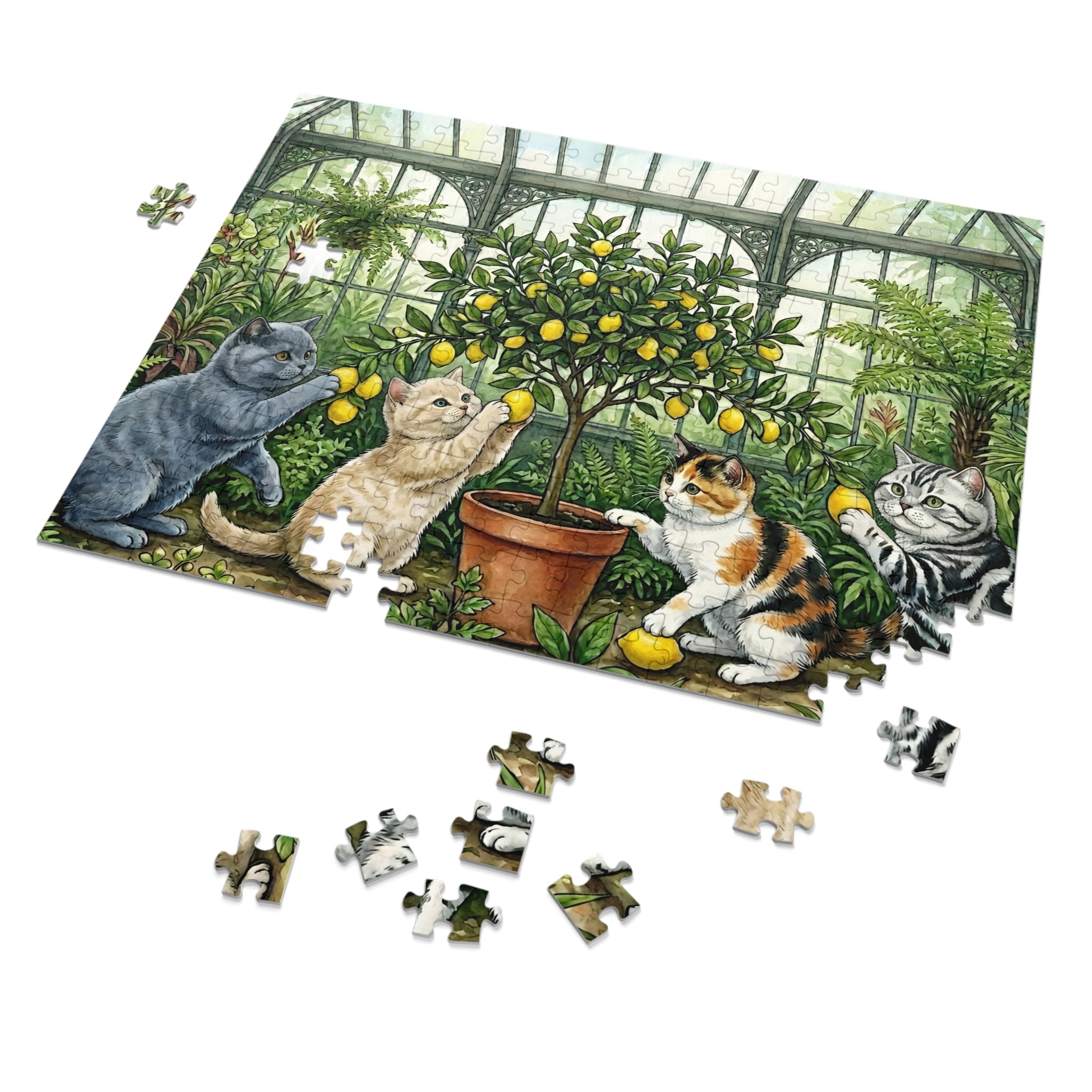 Multicolor British Shorthair Kittens Lemon Tree Greenhouse Jigsaw Puzzle