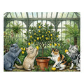 Multicolor British Shorthair Kittens Lemon Tree Greenhouse Jigsaw Puzzle